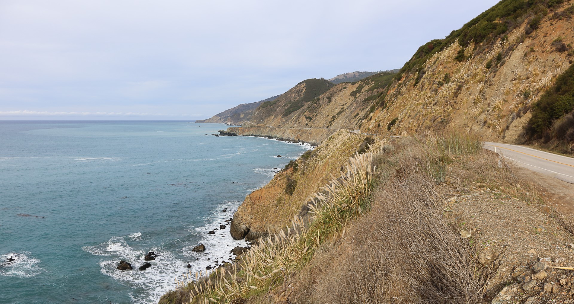 Big Creek State Marine Reserve