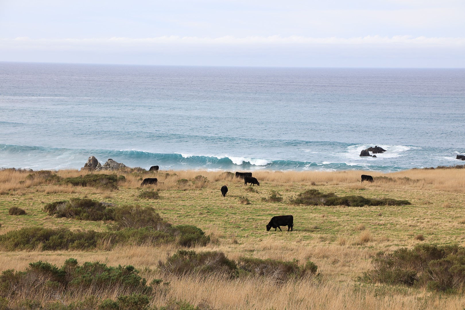 Big Creek State Marine Reserve